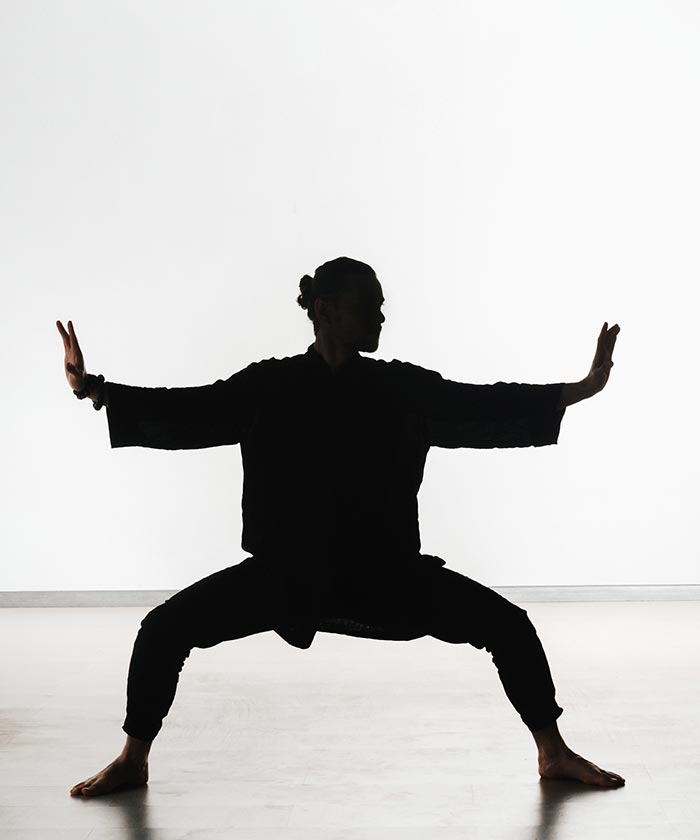 budo-bodywork